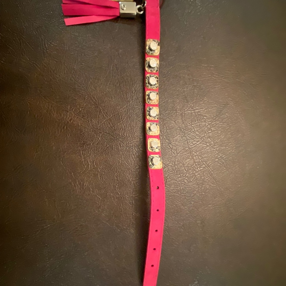 Dog collar & leash set